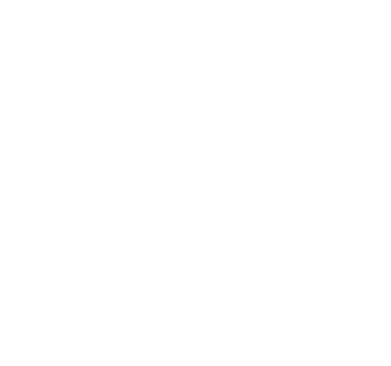 DENZA Südostschweiz